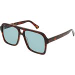 Alessandro Tortoise